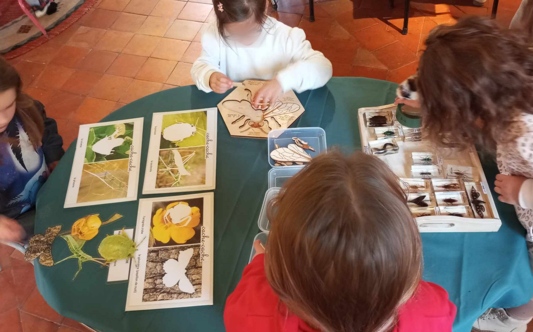 Mimetisme puzzle abeille insectes sous resine floute